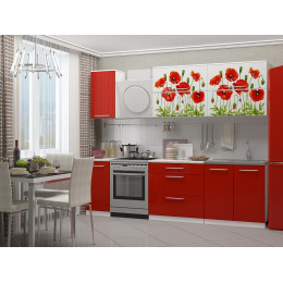 Кухня МДФ 2000 с фотопечатью Маки красные