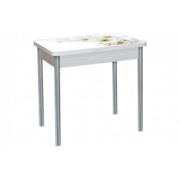 Бронкс фотопечать стол обеденный поворотно-раскладной / цветы 029/бетон белый/металлик